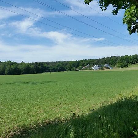 Ferienwohnung "Am Weinberg" Bad Schmiedeberg Exteriör bild
