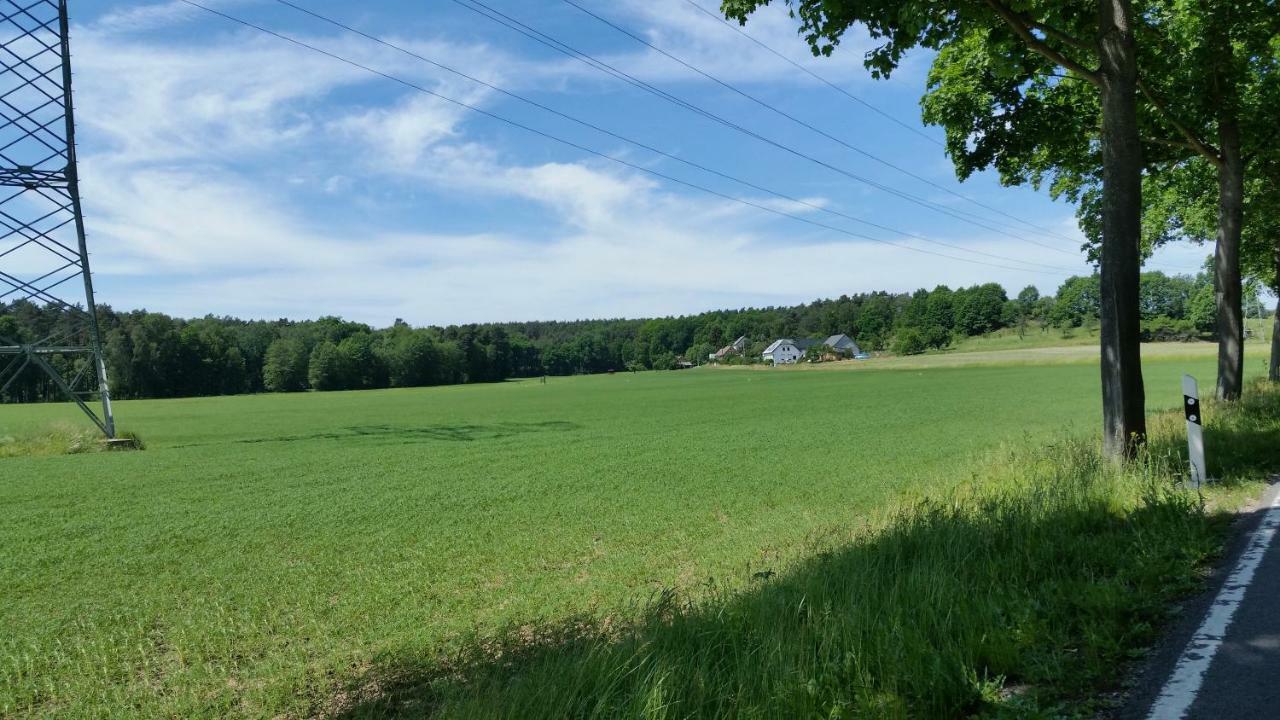 Ferienwohnung "Am Weinberg" Bad Schmiedeberg Exteriör bild
