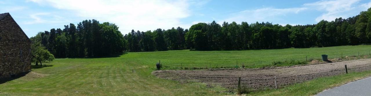 Ferienwohnung "Am Weinberg" Bad Schmiedeberg Exteriör bild